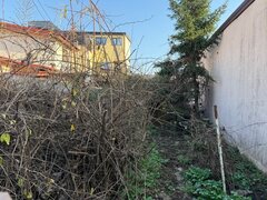 Chitila Casa singur curte