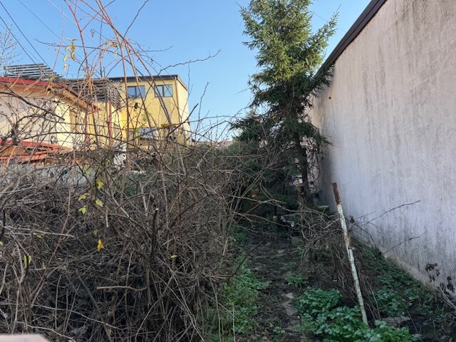 Chitila Casa singur curte