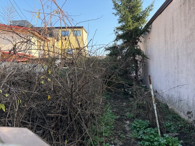 Chitila Casa singur curte